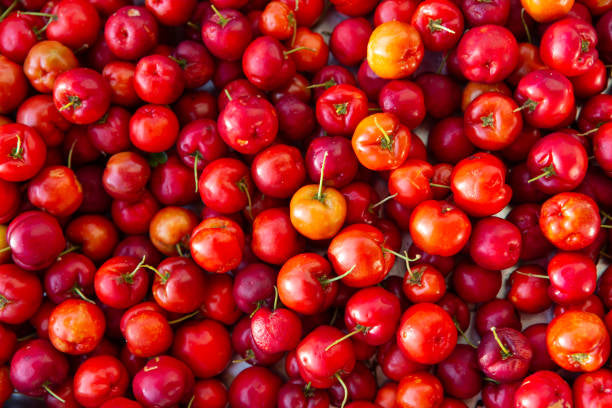 From Boosting Immunity to Fighting Aging: Discover the Superfood Acerola