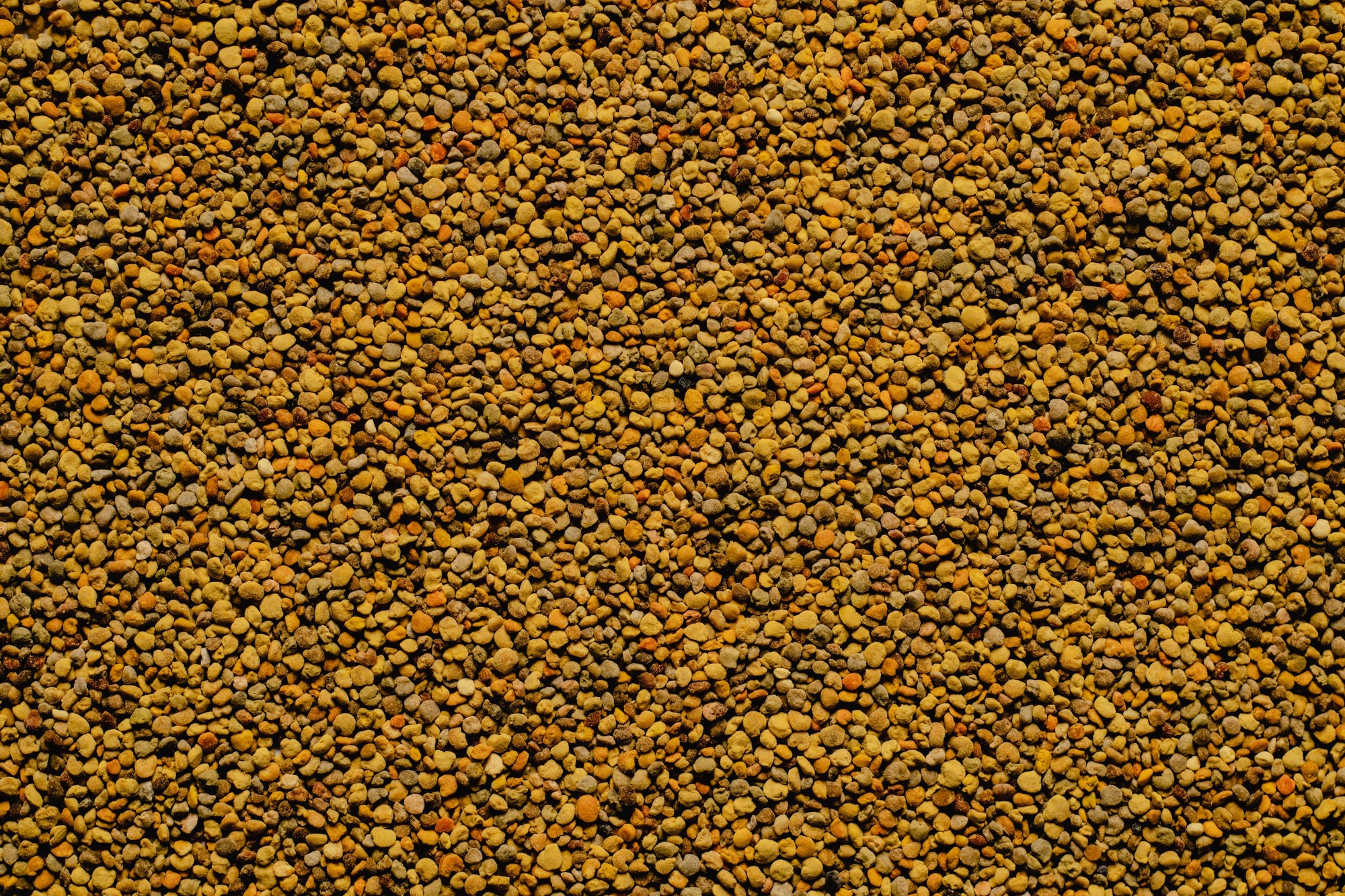 The Buzz on Bee Pollen: Understanding its Nutritional Quality